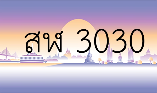 สฬ 3030